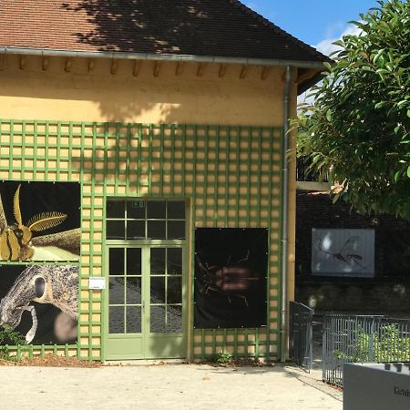 Charmante Maison Bourguignonne Avec Grand Jardin Et Parking Montbard Exterior foto