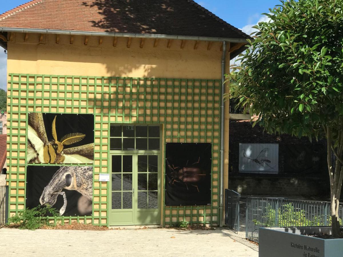 Charmante Maison Bourguignonne Avec Grand Jardin Et Parking Montbard Exterior foto